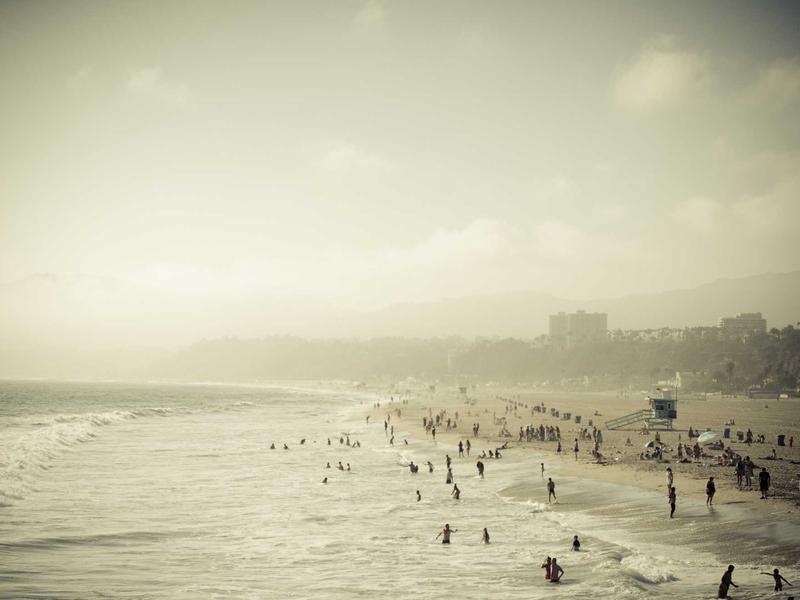 picsum id: 100